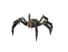 Spinne